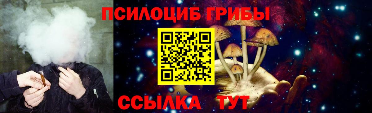 Псилоцибиновые грибы Psilocybe  Псилоцибиновые грибы Psilocybe  Вход с VPN  Сибай 
